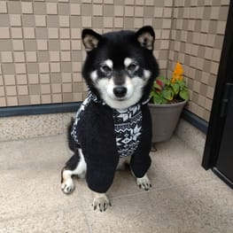 キムキムさんの作品