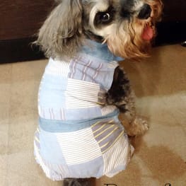 Dwarfさんの作品