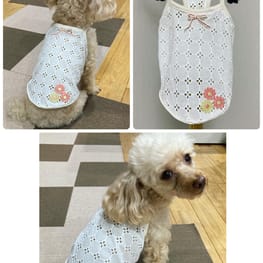 ココママさんの作品