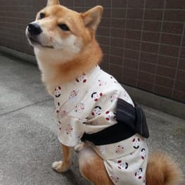 ナツ色さんの作品