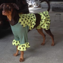 Aliceさんの作品