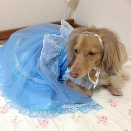 cocoa3さんの作品