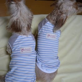 ひなはなさんの作品