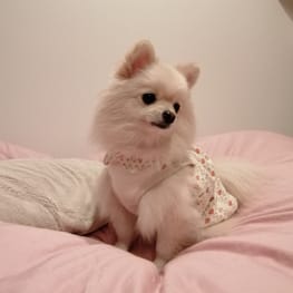 にこママさんの作品