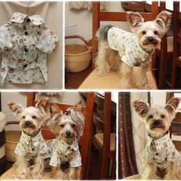 toshiさんの作品