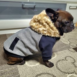 犬服のハンドメイド作品-みんなのかわいい手作り犬服 / 愛犬の