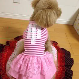 らくすさんの作品