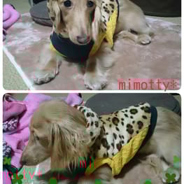 mimottyさんの作品