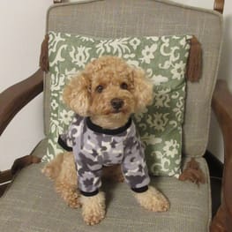 リンゴさんの作品