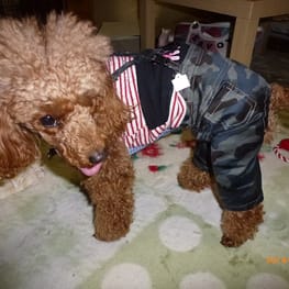 ちみこママさんの作品