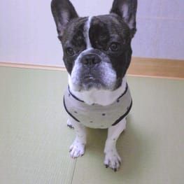 millamillaさんの作品