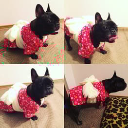 咲桜さんの作品