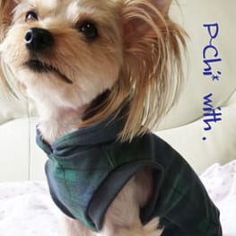 p-chi*withさんの作品