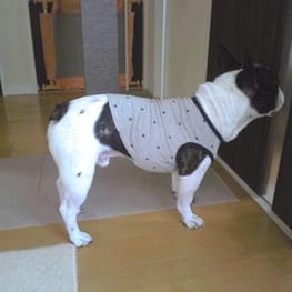 millamillaさんの作品