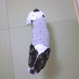 millamillaさんの作品