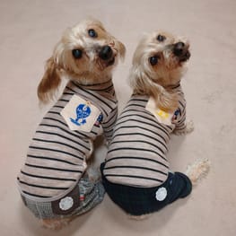 ひなはなさんの作品