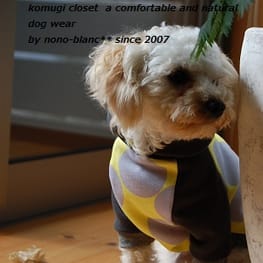 こむぎさんの作品