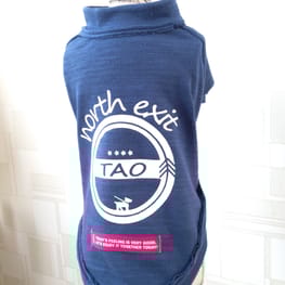 ちゃちゃさんの作品