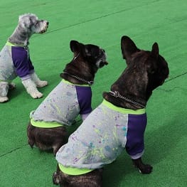 ちびっこさんの作品