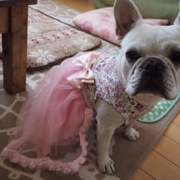 げんこつママさんの作品