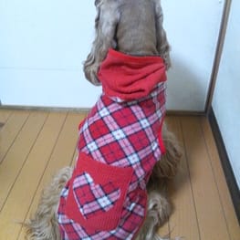 晴ママさんの作品