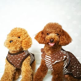 ふみちゃんさんの作品