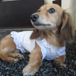 korino-rinoさんの作品