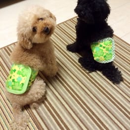 ちょここさんの作品