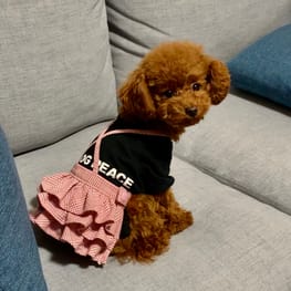 nuppy100さんの作品