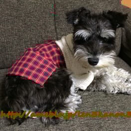 レンかのさんの作品