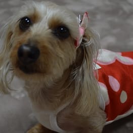 ひなはなさんの作品