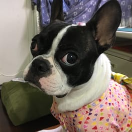 angelin40さんの作品