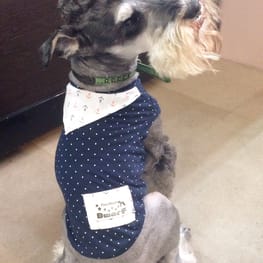 Dwarfさんの作品