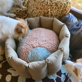 海うさぎさんの作品