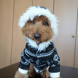 もじこさんの作品