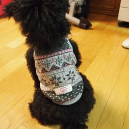 ちえぞうさんの作品