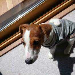 古都さんの作品