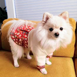 にこママさんの作品