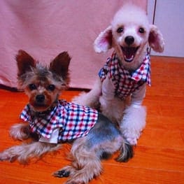 LabiOliママさんの作品