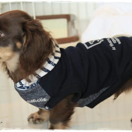 akizoo88さんの作品