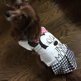 chicchi315さんの作品