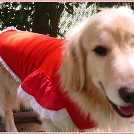 メグやんさんの作品