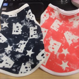 テンミーさんの作品