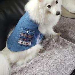 はるさんの作品