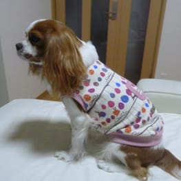 しまゆさんの作品