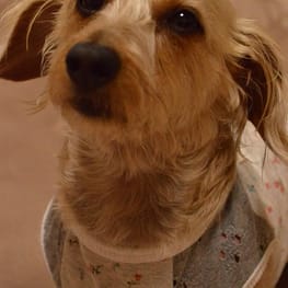 ひなはなさんの作品