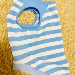 ノラあざらしさんの作品