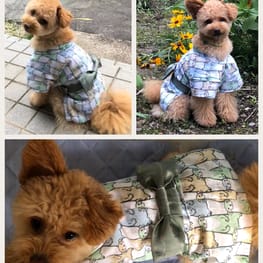 ごんままさんの作品