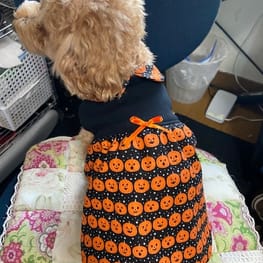 あ～すけさんの作品