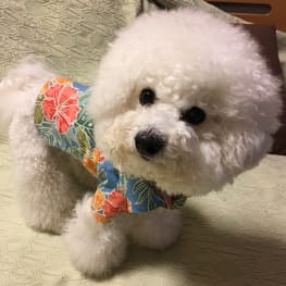 みちもこさんの作品